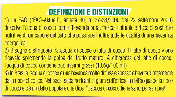 Acqua di cocco, proprietà e benefici preziosi 